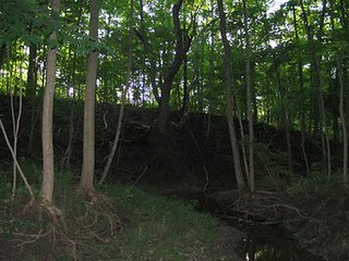Property photo 10 - 80+/- Acres Land Auction offered in 5 Tracts